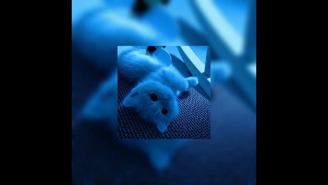 Дети немой страны speedup