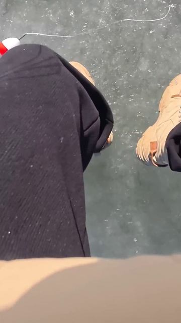 Сегодня научили новому методу рыбалки, и кажется я увлёкся #хапуга #охотасрогаткой смотреть онлайн