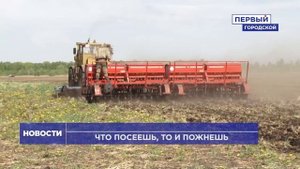 ПОСЕВНАЯ В ОМСКОЙ ОБЛАСТИ