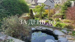 162. Это просто ад! Рассказываю о работе.