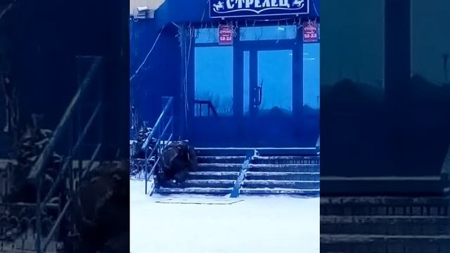 Поход в магазин смотреть онлайн