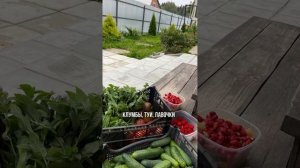 Продается участок с домом в Сергиево-Посадском районе