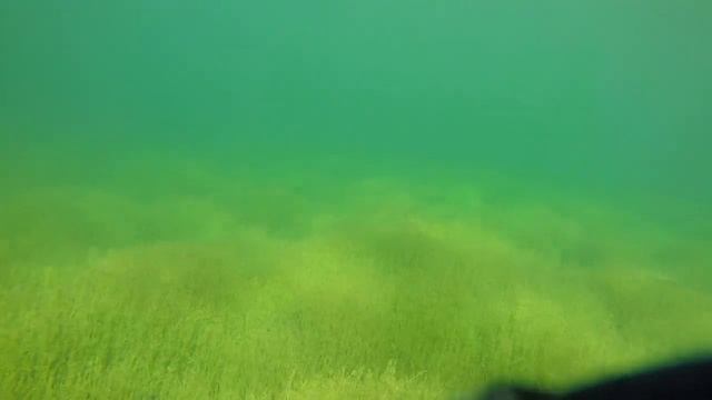 Окуньки на Сибинах смотреть онлайн