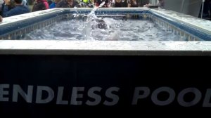 Endless Pool, London Triathlon, Hyde Park, August 6.