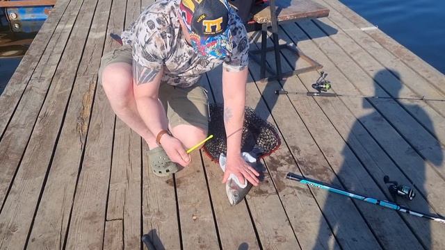 22-04-2025 смотреть онлайн