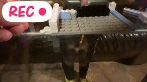 LEGO AMONG US! ЛЕГО АМОНГ АС!