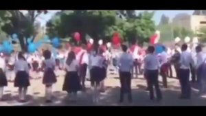 МБОУ "Школа №113" Выпуск 2020 11 "А"