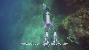 Underwater World  Discoveries, Catch and Habitat of Fish