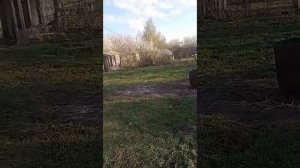 Дача