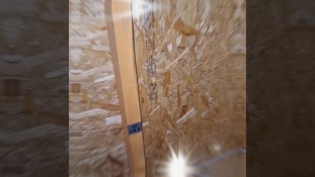 1000021998.mp4 (Собака смотрит на электроснабжение дома А-фрейм)