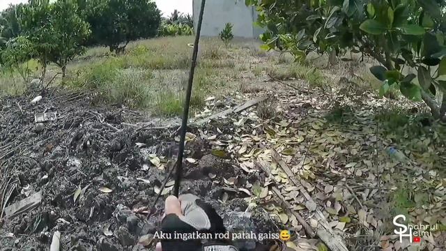 Casting Ikan Bulan | Daiwa Revros ft Rod Shoppee Viral