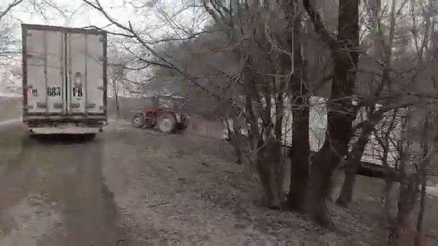 Трактор МТЗ 82 вытаскивает фуру с грязи.