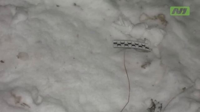 Поймали драгдилера смотреть онлайн