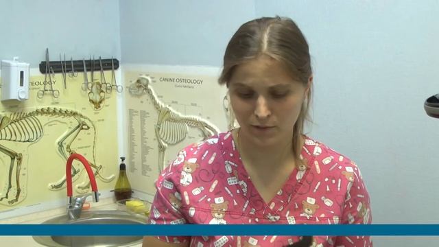 Двох котів Одеської виправної колонії №51 забрала до себе зоозахисниця Оксана Мілованова