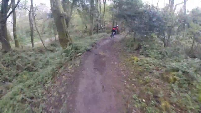 Haldon forest & cafe side MTB 4th May 2015