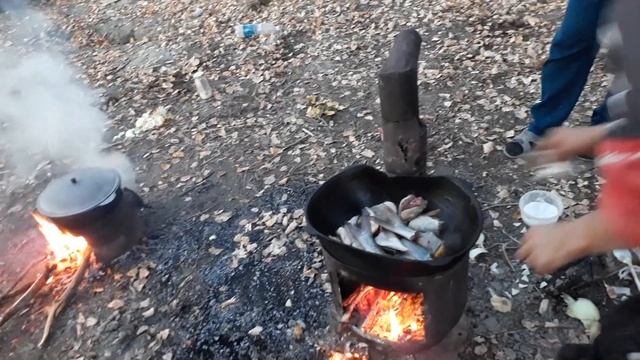 Сырдын бойында каратобе ауылы 87 лер смотреть онлайн