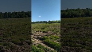 Разработка поля от кустарников