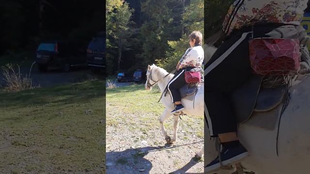 прогулка на коне по имени Кора  .Грузия..2022 год смотреть онлайн