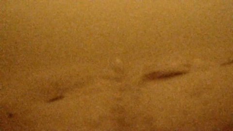 подводные съёмки р.Москва глубина 6 метров #рыболовтроицк #рыбалка #фидер #rybolovtroick #tinao_fish