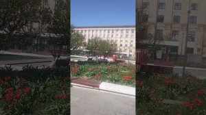 ТРИУМФАЛЬНАЯ ПЛОЩАДЬ