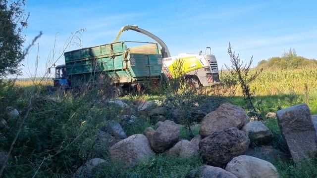 \Уборка кукурузы\Jaguar\ Маз\МТЗ-1221.1523\ смотреть онлайн