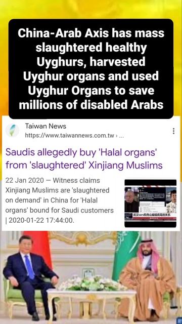 China-Arab Axis Mass Slaughtered Uyghurs to Obtain UYGHUR HALAL ORGANS to use them to save Arabs смотреть онлайн