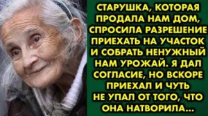 Старушка, которая продала нам дом, спросила разрешение приехать на участок и собрать ненужный нам...