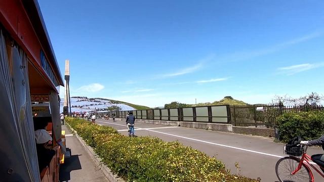 Japan Travel - Baby Blue Eyes/Nemophila flower hills at Hitachi Seaside Park (国営ひたち海浜公園) смотреть онлайн