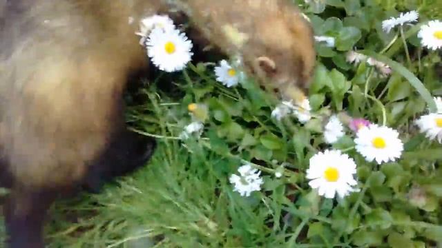 20170706 124745 смотреть онлайн