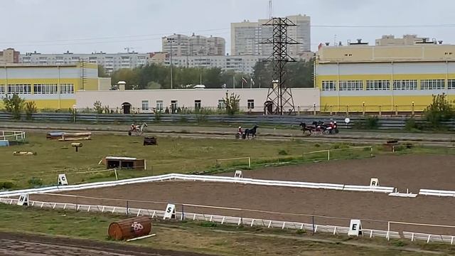 19 сентября 2021 г., 6 заезд, ГРУППОВОЙ для лошадей рысистых пород 3-летнего возраста, 1600 м смотреть онлайн