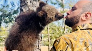 Топа и Кнопа ХИТРЯТ! Чтобы не тренироваться они ЦЕЛУЮТ Дениса!