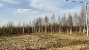 copy_16F82706-0625-405F-8B44-8BF33CAC2EEB