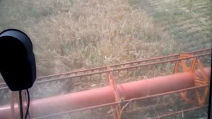 Уборка ячменя Вакула