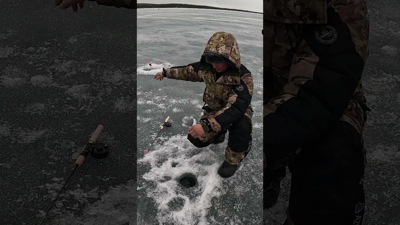 Корюшка весной #рыбалка #fishing #рыба #fish
