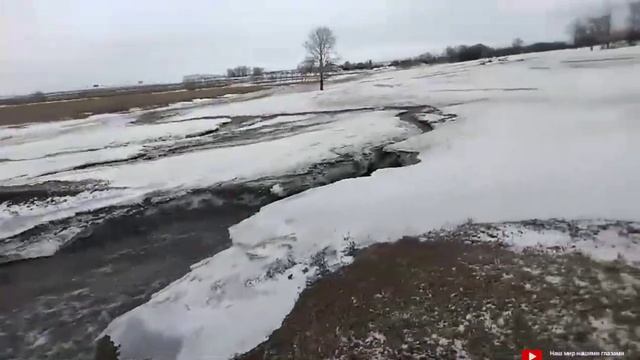 1 серия 😍 Ежегодно это происходит из одного в другой водоём смотреть онлайн