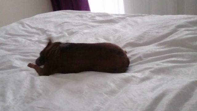 Отпуск. Первый день. смотреть онлайн