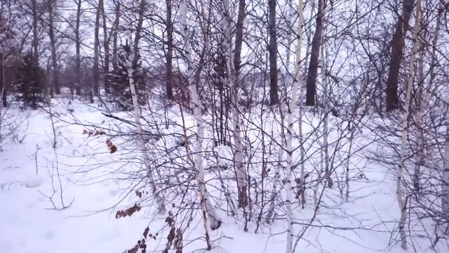 Новогодние зайцы, ЗАЯЦ 2020 смотреть онлайн