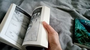 Webcomic "Gifts of wandering ice" in print