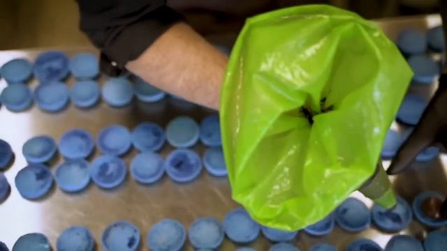 Mg Patisserie and Cafe