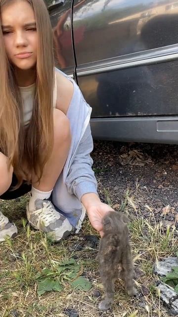 Самый несчастный котик 😔 Помочь ему? #alonka #топ #тренды #а4 #ледидиана #популярное #топ смотреть онлайн