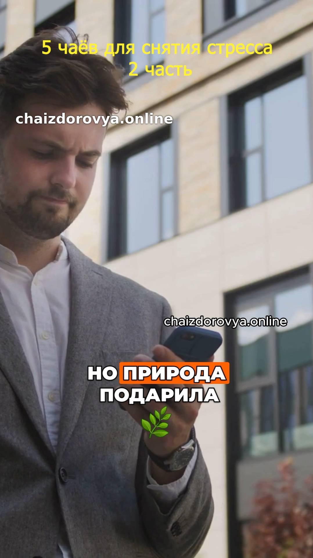 5 чаёв для снятия стресса часть 2