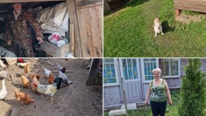 ПЕРЕСЫПАЛИ ЗЕРНО, ОТКРЫЛА И ОБРЕЗАЛА РОЗЫ, ПЫТАЛИСЬ ПОСТРИЧЬ КУСТ. И НЕМНОГО О МОИХ ВНУКАХ.