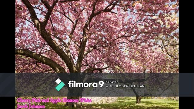 Cherry Pink and Apple Blossom White смотреть онлайн