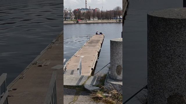«Рыбалка в сердце города: ловля на Петровской косе в Санкт-Петербурге»