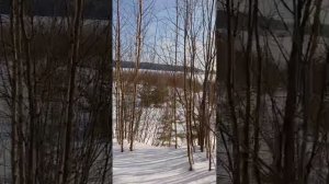 2025 ПРИЕХАЛИ 29.01.2025