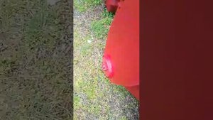 Фреза садовая с переменной шириной захвата ФПШ-200