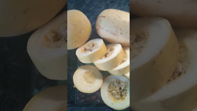 Вот это кабачки-долгожители!