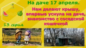На даче 17 апреля. Нам делают крышу,впервые уснула на даче,знакомство с соседской кошечкой. 13 серия