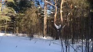 Живописная красота Pogoda v Sibiri