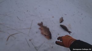 Набрал полные сани снастей. Ловлю карасей на подъёмник.